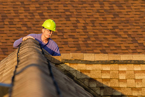 Professional Roofing Contractor in Grandview, IL